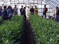 �g���R�M�L���E�̃n�E�X�B