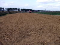 �K������̒����B���ꂩ��A���܂��I