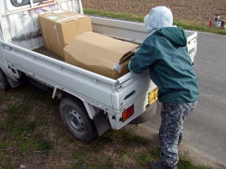 �c�̓�����������c�؂��o�����΂������B