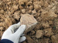 �߂��Ō���Ɛ΂��S���S���B��ŏE���ĕ����܂��B