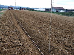 ��{100���B�X�[�b�ƒ����R��ʂ��܂��B