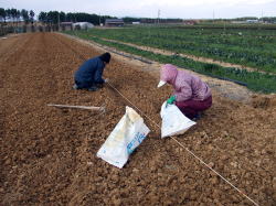 ���ƕ�B�΂��E���B�B