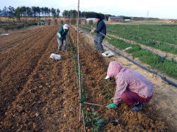 �Ƒ��S�l�ŐA���܂����B