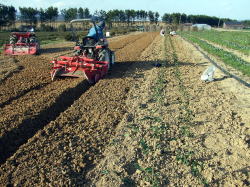 �E���͐A���܂����B�g���N�^�[���o���I