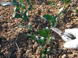 �Z�����肵�܂��B�@���������L�тĊ撣���Ăق����I