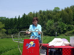 …こんな顔をして運転していました。
