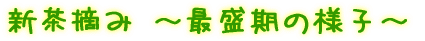 2007年5月の様子