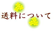 �����ɂ��� 