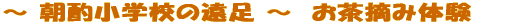 �����͂ǂ�����č����̂��ȁH 